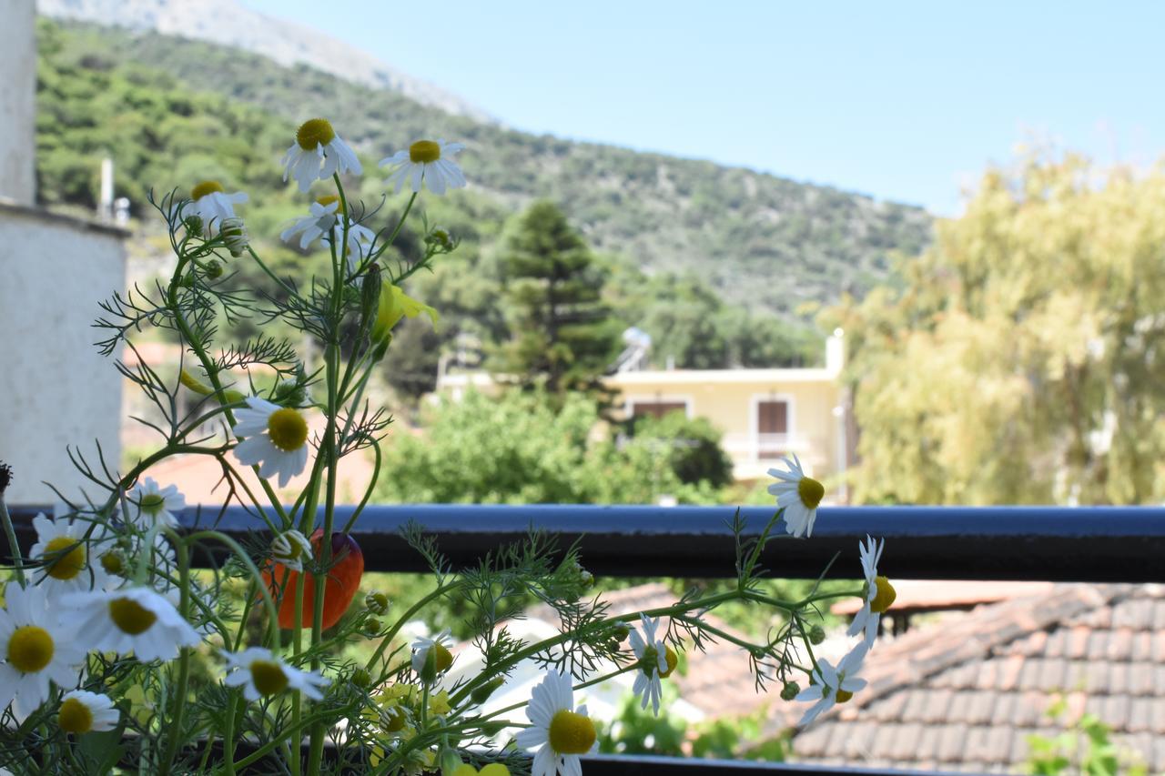 Starvillas Apartments And Studios Agia Efimia Exterior photo